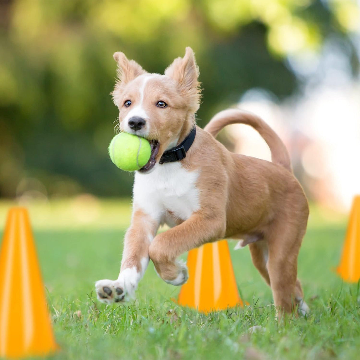 Conos Para Entrenamiento 25 Cm Para Agilidad Futbol